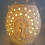 Difusor eléctrico blanco pavo real