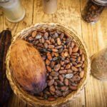 Manteca de cacao orgánica